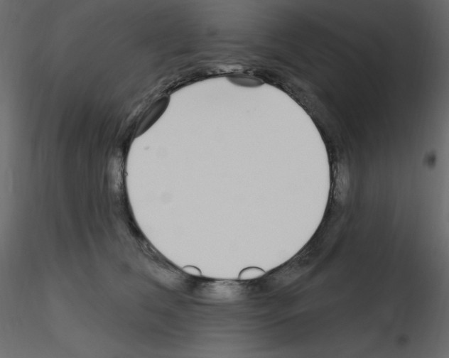 X0000115690612200912241503