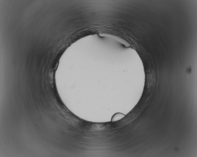 X0000115690613200912241503