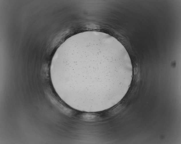 X0000115690614200912241503