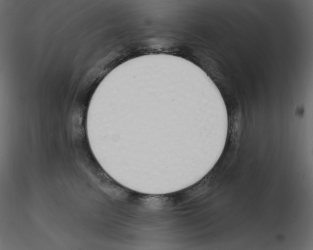 X0000115690615200912241503
