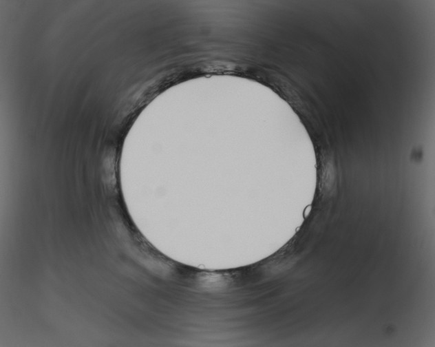 X0000115690616200912241503