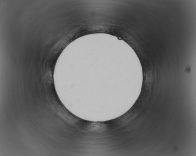 X0000115690617200912241503