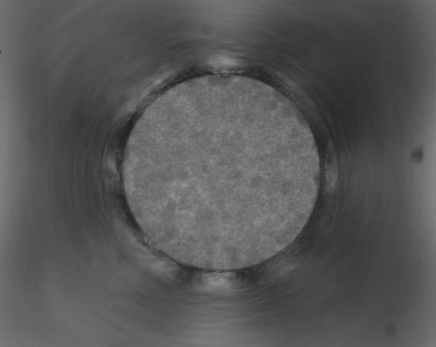 X0000115690618200912241503