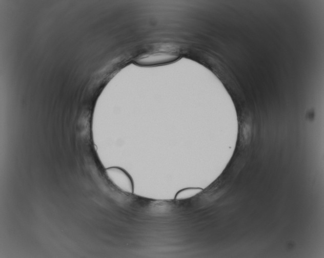 X0000115690620200912241503