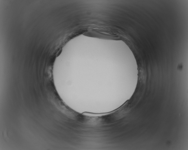 X0000115690621200912241503