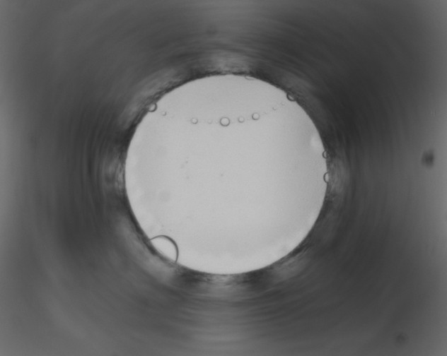 X0000115690622200912241503