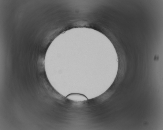 X0000115690624200912241503