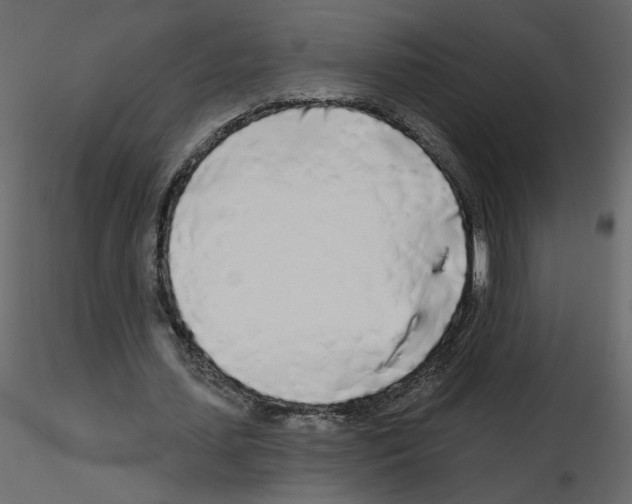 X0000115690627200912241502