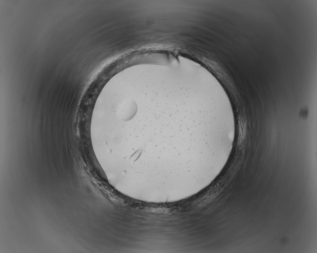 X0000115690628200912241502