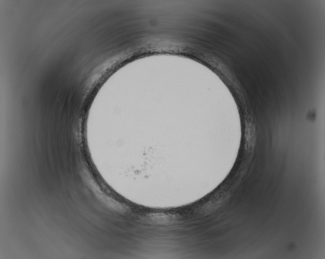 X0000115690629200912241502