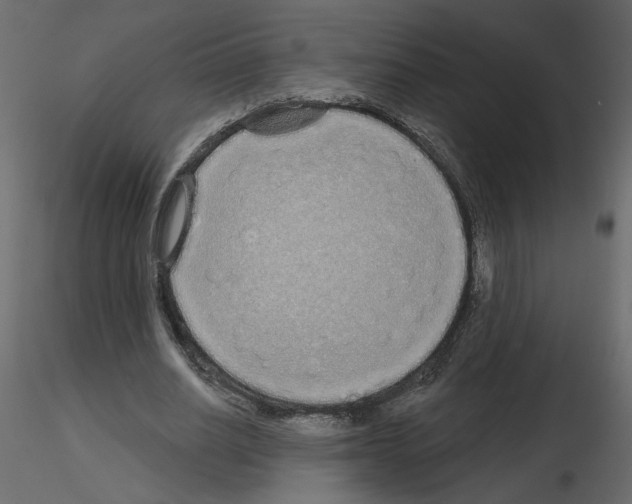 X0000115690630200912241502