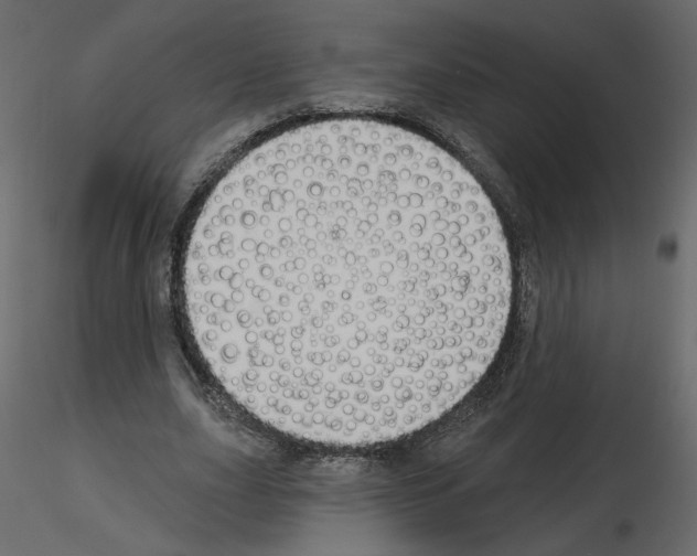 X0000115690631200912241502
