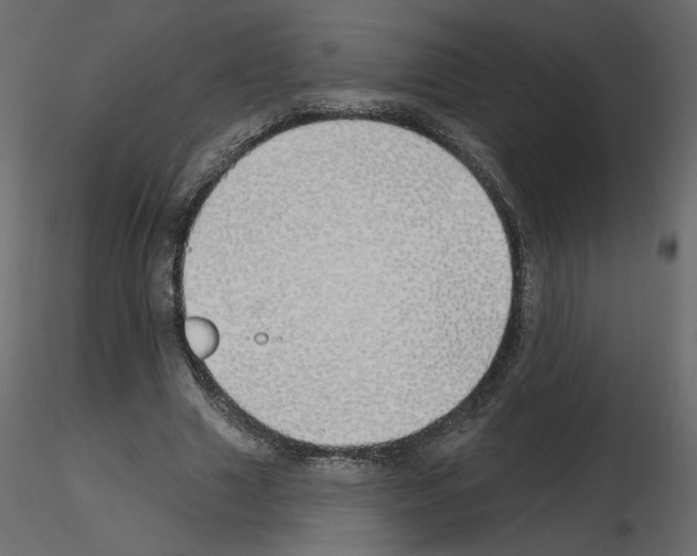 X0000115690633200912241502