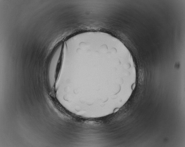 X0000115690634200912241502