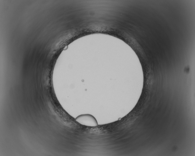 X0000115690635200912241502