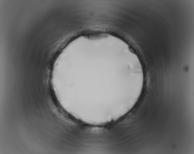 X0000115690637200912241502