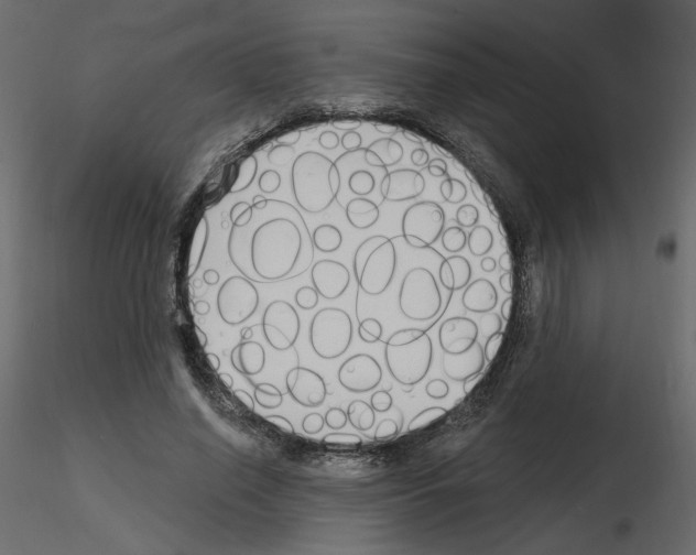 X0000115690638200912241502