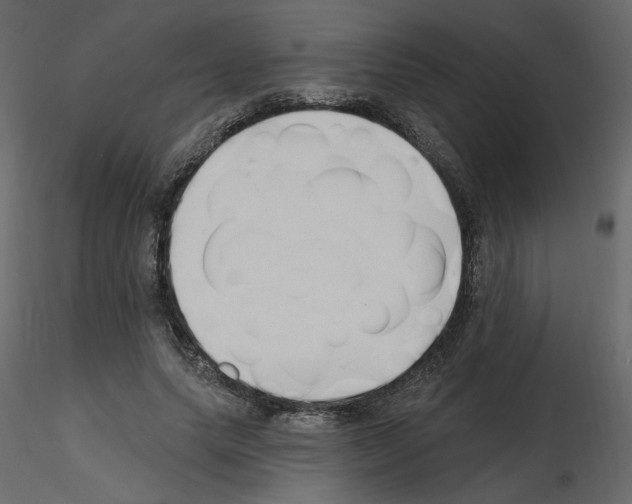 X0000115690639200912241502