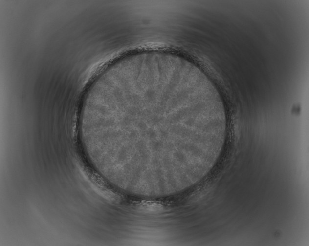 X0000115690640200912241502