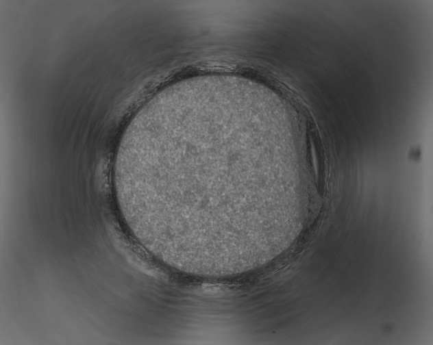 X0000115690641200912241502