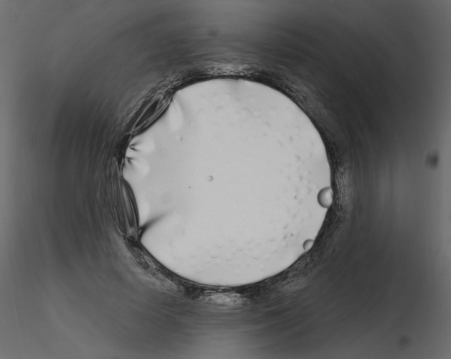 X0000115690642200912241502