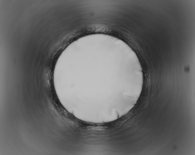 X0000115690643200912241502
