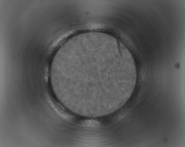 X0000115690644200912241502