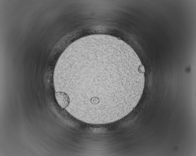 X0000115690645200912241502