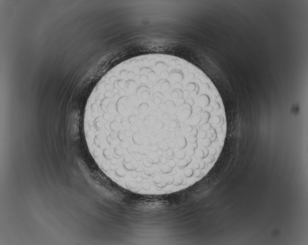X0000115690646200912241502