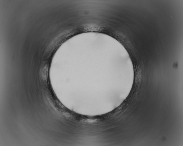 X0000115690647200912241503