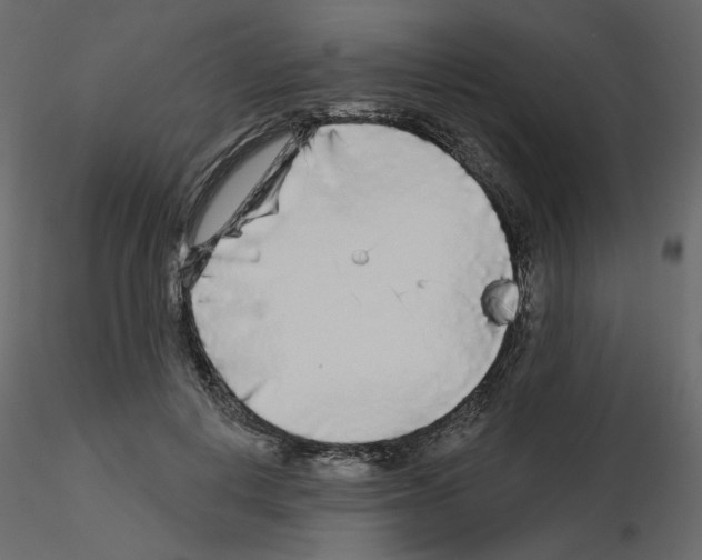 X0000115690648200912241503