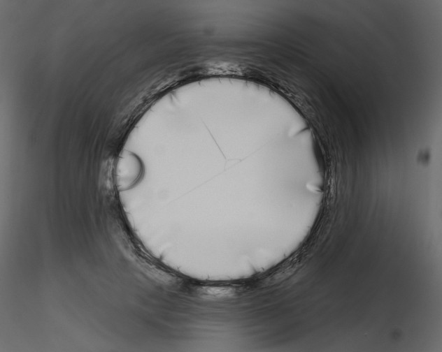 X0000115690649200912241503