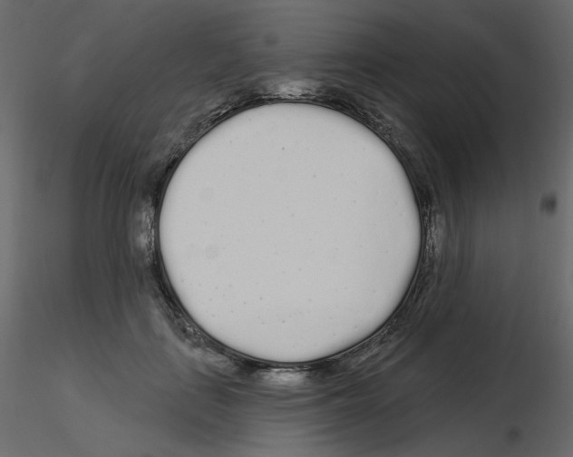 X0000115690651200912241503