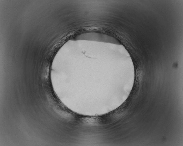 X0000115690652200912241503