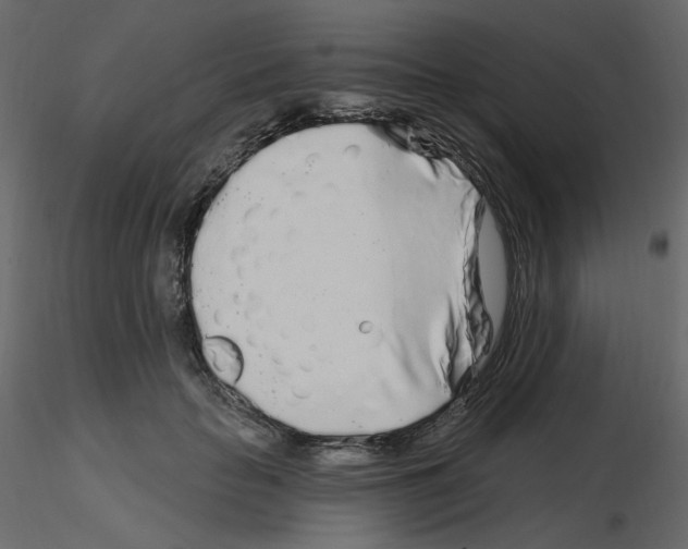X0000115690653200912241503