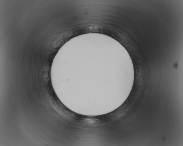 X0000115690654200912241503