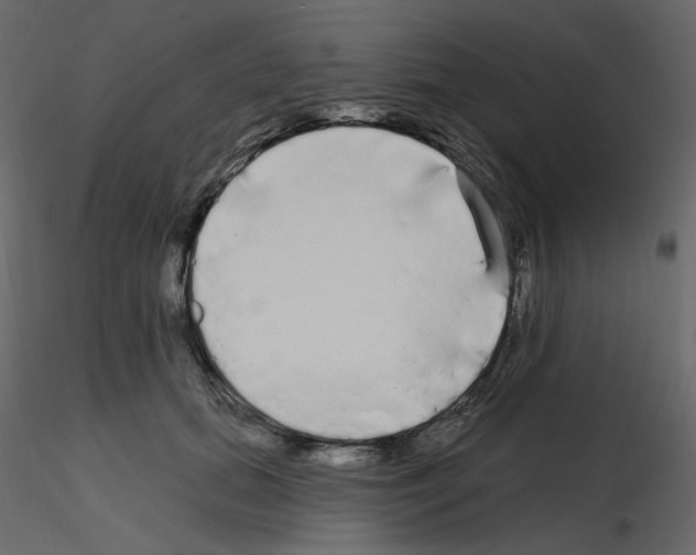 X0000115690655200912241503
