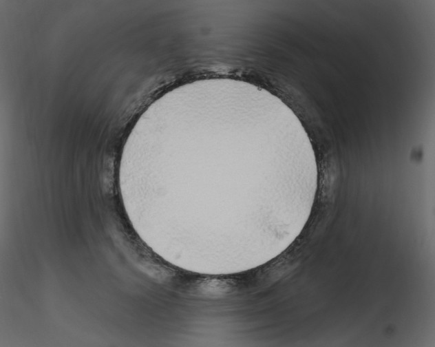 X0000115690656200912241503