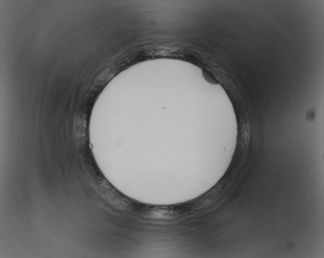 X0000115690657200912241503