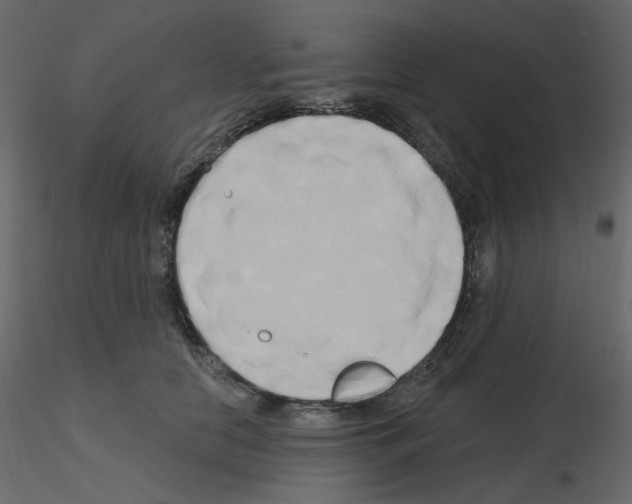 X0000115690658200912241503