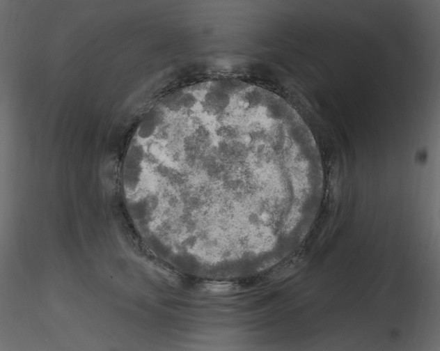 X0000115690659200912241503