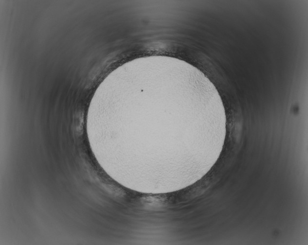 X0000115690660200912241503