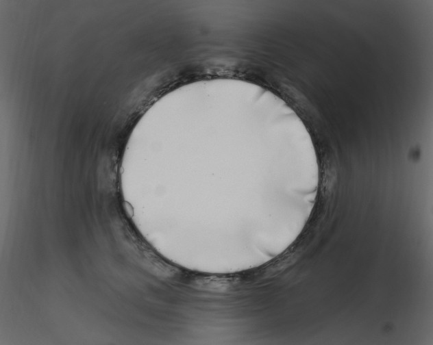 X0000115690661200912241503