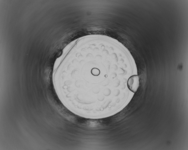 X0000115690662200912241503