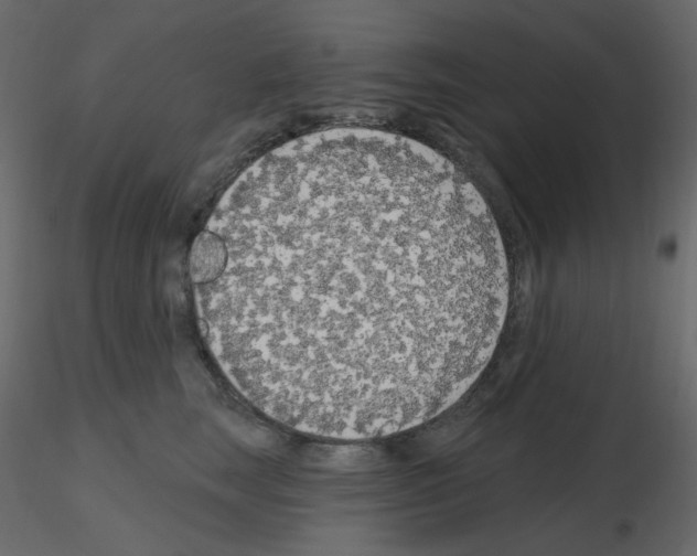 X0000115690663200912241503