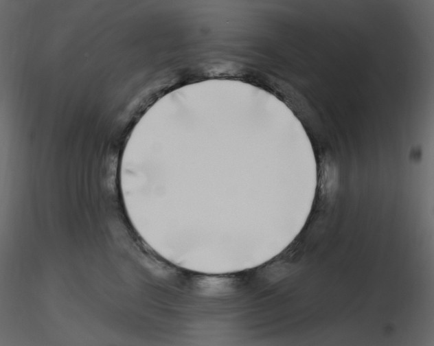X0000115690664200912241503