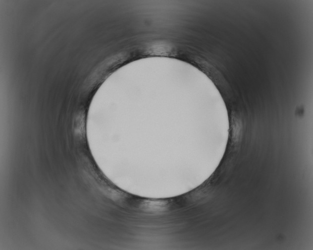 X0000115690665200912241503