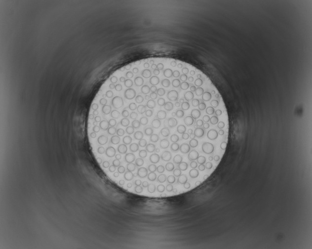 X0000115690666200912241503