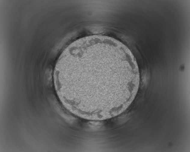X0000115690667200912241503