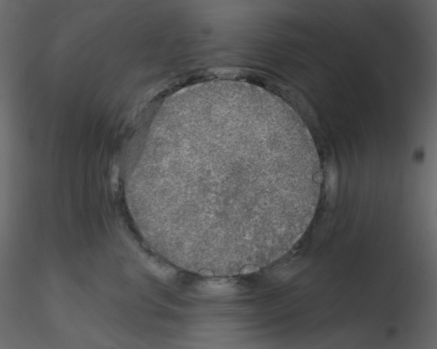 X0000115690668200912241503